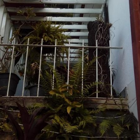 Hostel Mdemarilia Nova Friburgo Esterno foto